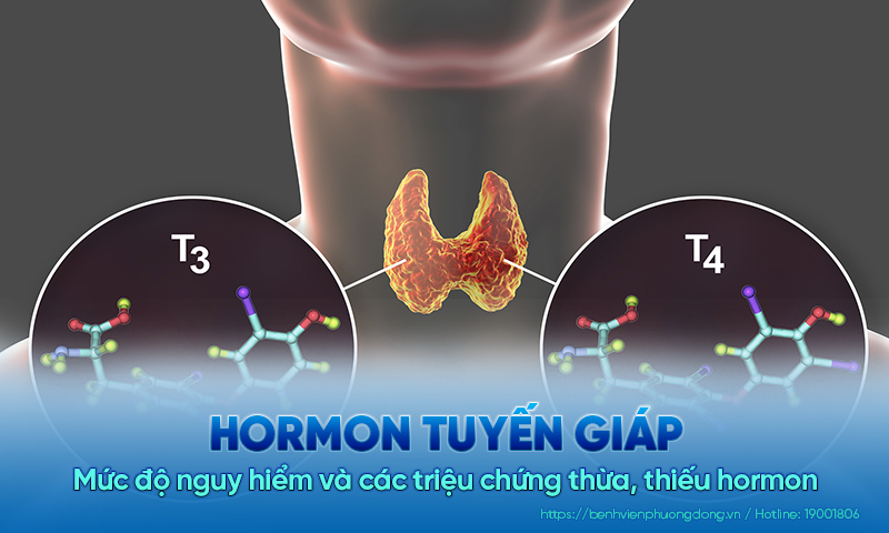 Hormon tuyến giáp: Mức độ nguy hiểm và các triệu chứng thừa, thiếu hormon