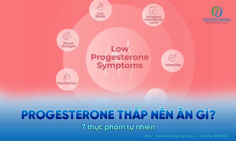 Progesterone thấp nên ăn gì? 7 thực phẩm tự nhiên