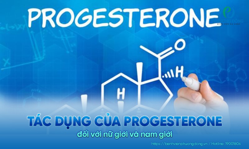 Tác dụng của Progesterone với nữ giới và nam giới