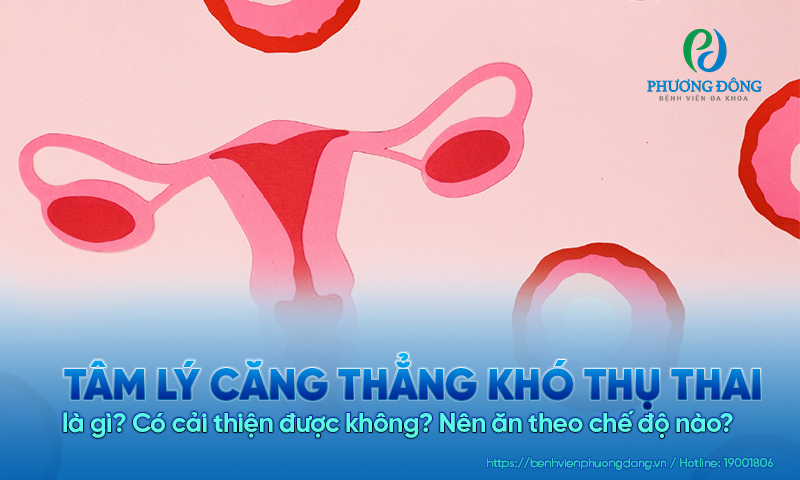 Tăng dự trữ buồng trứng là gì? Có cải thiện được không? Nên ăn theo chế độ nào?