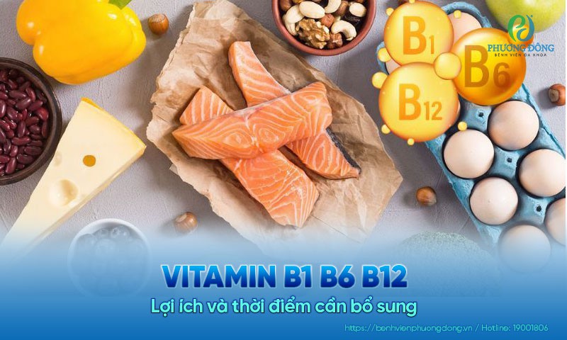 Vitamin B1 B6 B12: Lợi ích và thời điểm cần bổ sung