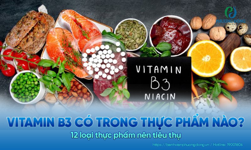 Vitamin B3 có trong thực phẩm nào? 12 loại thực phẩm nên tiêu thụ