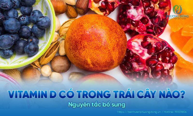 Vitamin D có trong trái cây nào? Nguyên tắc bổ sung