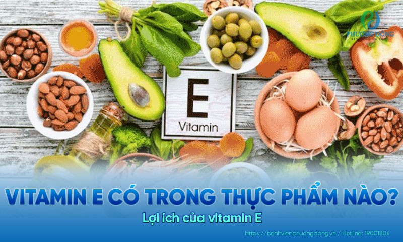 Vitamin E có trong thực phẩm nào? Lợi ích của vitamin E