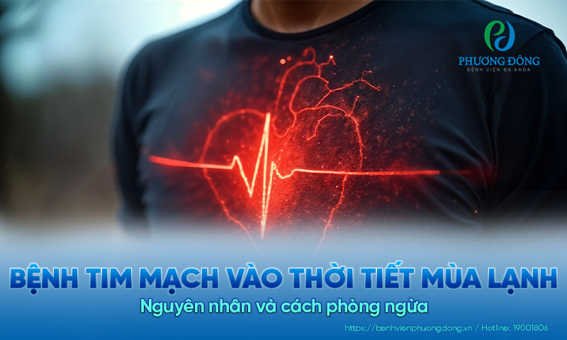 Bệnh tim mạch vào thời tiết mùa lạnh: Nguyên nhân và cách phòng ngừa 