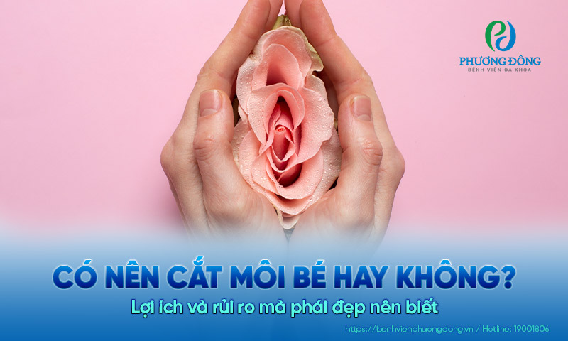 Có nên cắt môi bé hay không? Lợi ích và rủi ro mà phái đẹp nên biết