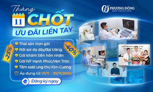 Chương trình ưu đãi dịch vụ tháng 11/2024