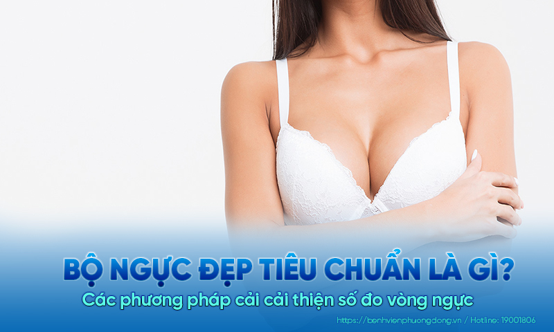 Bộ ngực đẹp tiêu chuẩn là gì? Các phương pháp cải cải thiện số đo vòng ngực