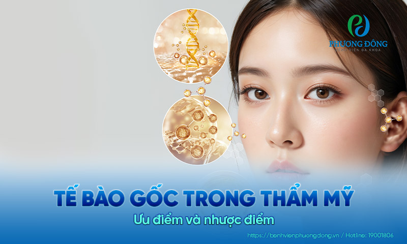 Ứng dụng tế bào gốc trong thẩm mỹ: Ưu và nhược điểm