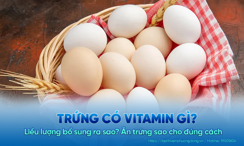 Trứng có vitamin gì? Liều lượng bổ sung ra sao? Ăn trứng sao cho đúng cách