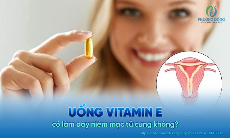 Uống vitamin E có làm dày niêm mạc tử cung không?