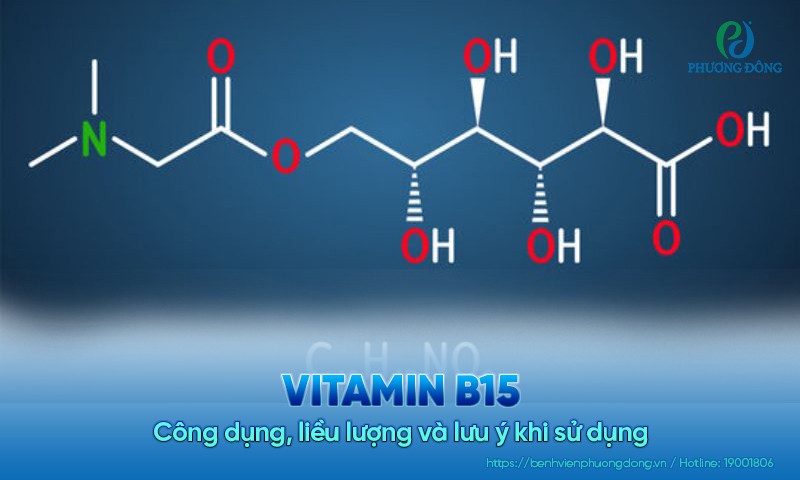 Vitamin B15: Công dụng, liều lượng và lưu ý khi sử dụng