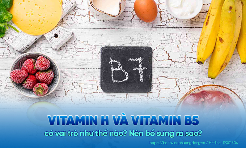 Vitamin H và vitamin B5 có vai trò như thế nào? Nên bổ sung ra sao?