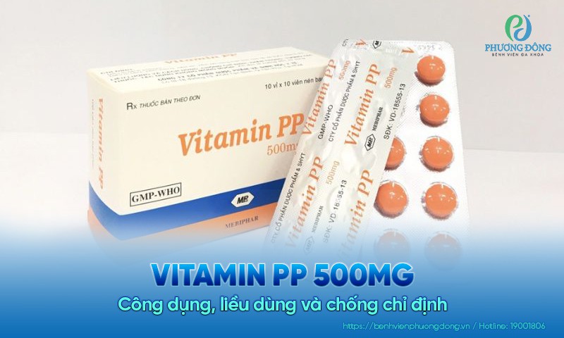 Vitamin PP 500mg: Công dụng, liều dùng và chống chỉ định