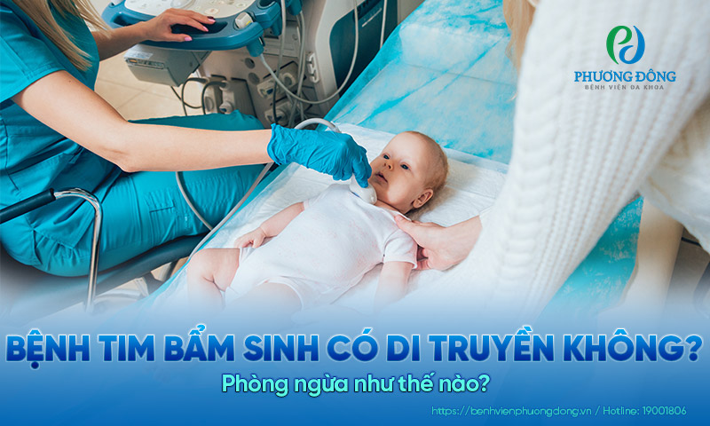 Bệnh tim bẩm sinh có di truyền không? Phòng ngừa như thế nào? 