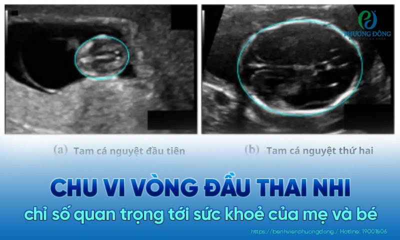 (Hình 8 - Chu vi vòng đầu thai nhi có sự tăng trưởng rõ rệt trong các giai đoạn khác nhau của thai kỳ, có ý nghĩa to lớn trong lập kế hoạch sinh nở)