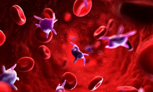 Mách bạn cách tăng tiểu cầu khi bị sốt xuất huyết một cách hiệu quả