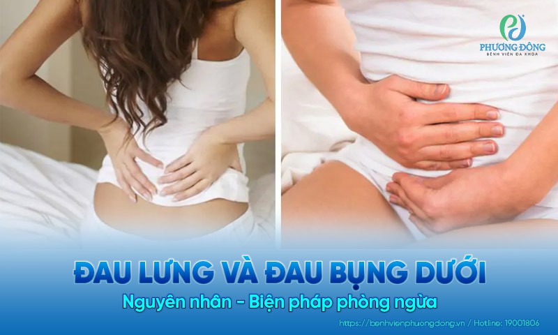 Phòng ngừa đau vùng thắt lưng và bụng dưới