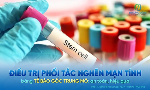Liệu pháp điều trị bệnh phổi tắc nghẽn mạn tính bằng tế bào gốc trung mô