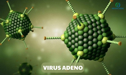 Sốt virus Adeno: Triệu chứng - Nguyên nhân - Cách điều trị
