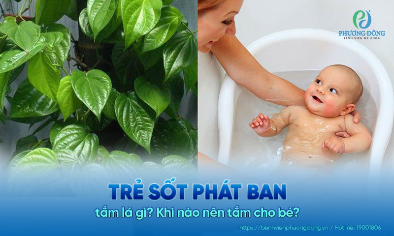 Những loại thảo dược phù hợp để tắm cho trẻ bị sốt phát ban