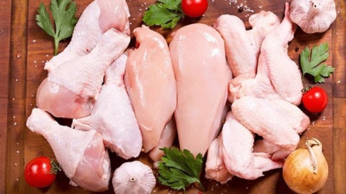 Sốt xuất huyết có ăn được thịt gà không?