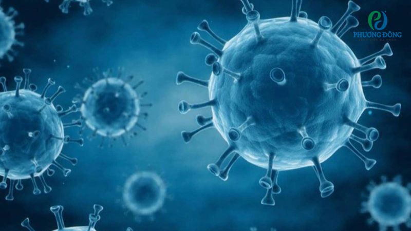 Virus HIV có thể tồn tại mãi mãi trong tinh dịch hay cơ thể người