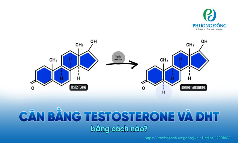 Cách cân bằng testosterone và DHT