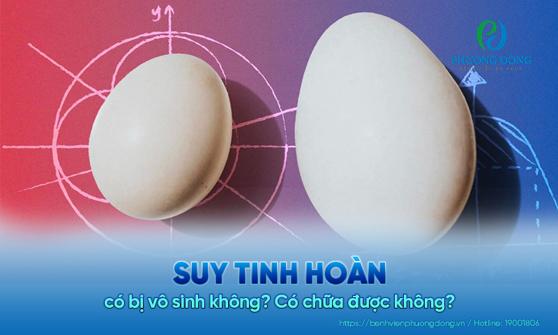 Suy tinh hoàn có bị vô sinh không? Có chữa được không?