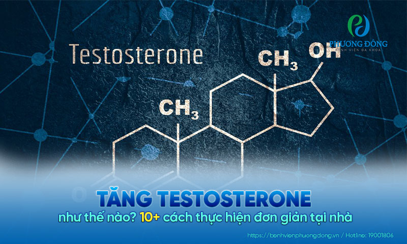 Tăng testosterone như thế nào? 10+ cách thực hiện đơn giản tại nhà