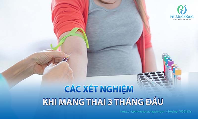Các xét nghiệm khi mang thai 3 tháng đầu mẹ bầu nhất định phải biết