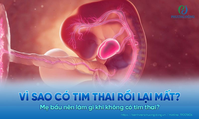 3. Phân Tích Các Nghiên Cứu và Tài Liệu