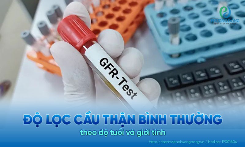Độ lọc cầu thận bình thường theo độ tuổi và giới tính