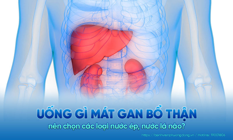 Giải đáp: Uống gì mát gan bổ thận?