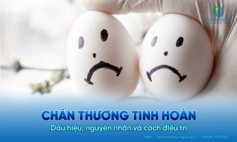 Chấn thương tinh hoàn: Dấu hiệu, nguyên nhân và cách điều trị