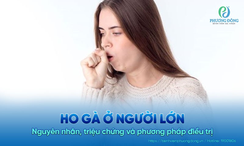 Ho gà ở người lớn: Nguyên nhân, triệu chứng và phương pháp điều trị