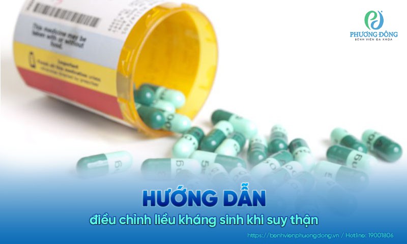 Hướng dẫn điều chỉnh liều kháng sinh khi suy thận