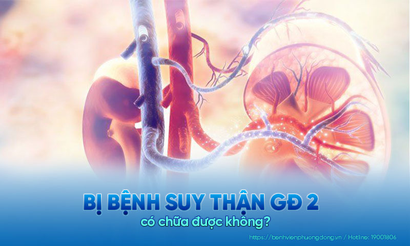  Bị bệnh suy thận độ 2 có chữa được không?