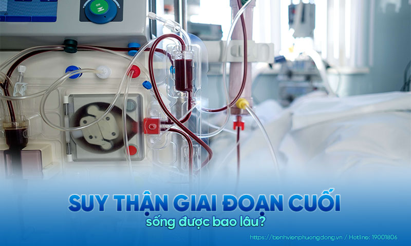 Giải đáp: Bị bệnh suy thận giai đoạn cuối sống được bao lâu?