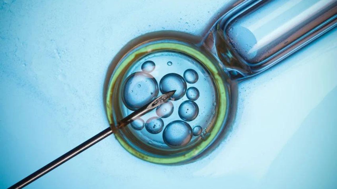 Người bệnh tức vòi trứng có thể thực hiện hỗ trợ sinh sản IVF