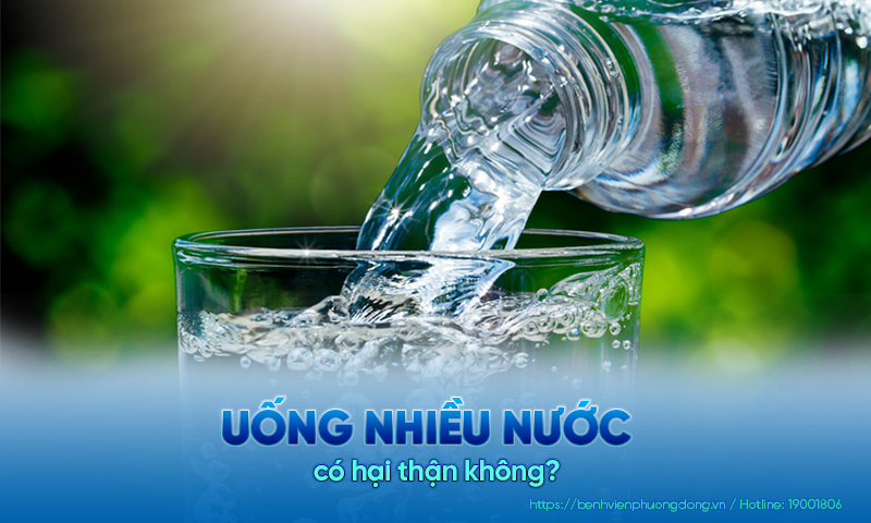 Uống nhiều nước có hại thận không? Tại sao không ảnh hưởng đến hoạt động của thận?