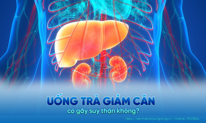  Uống trà giảm cân có hại thận không? Tại sao trà giảm cân lại gây suy gan, suy thận?