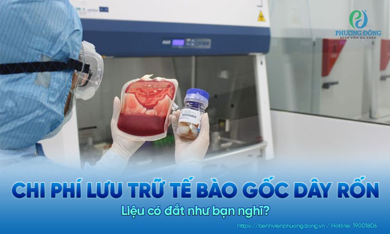 Chi phí lưu trữ tế bào gốc dây rốn: Có đắt như bạn nghĩ?