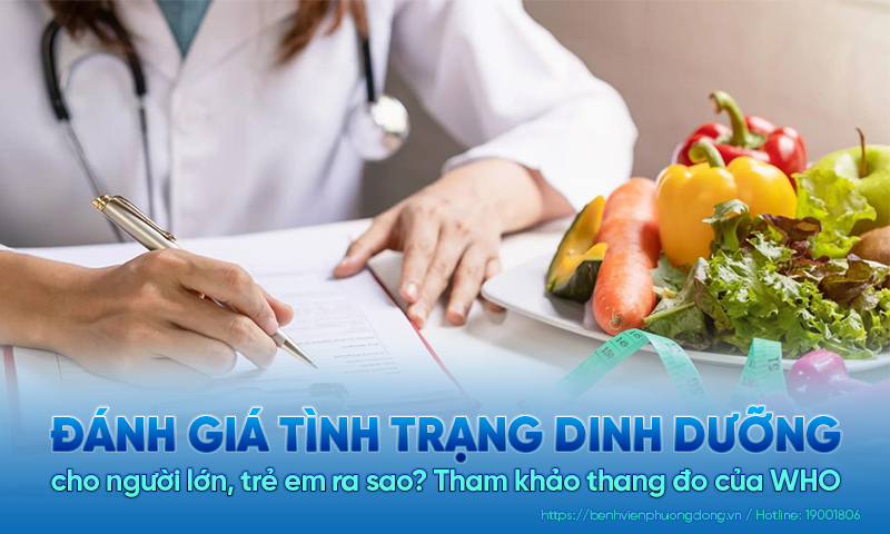 Đánh giá tình trạng dinh dưỡng người lớn, trẻ em | Thang đo của WHO