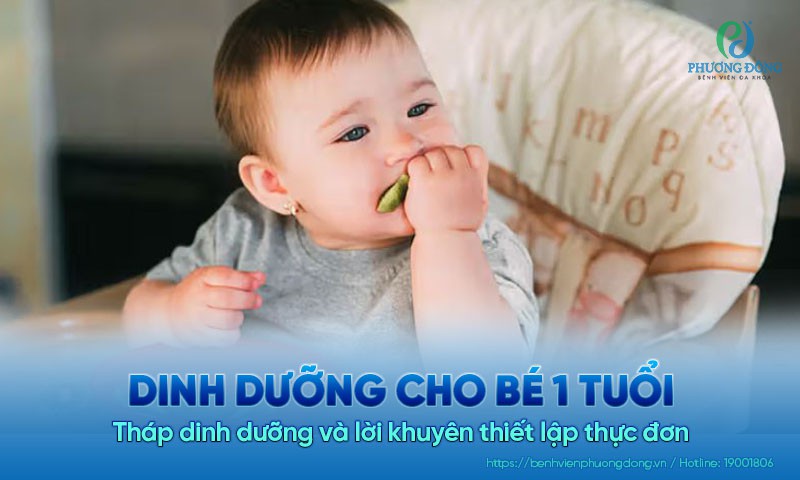 Dinh dưỡng cho bé 1 tuổi: Tháp dinh dưỡng và lời khuyên thiết lập thực đơn