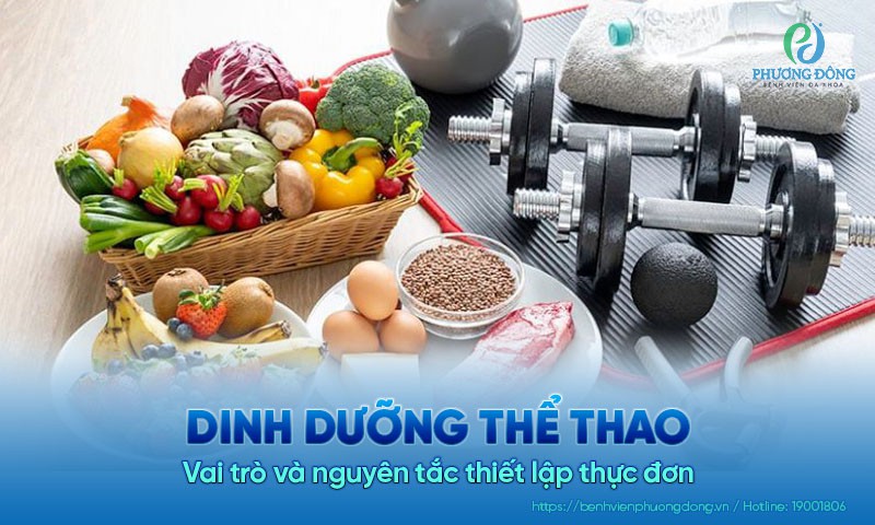 Dinh dưỡng thể thao: Vai trò và nguyên tắc thiết lập thực đơn