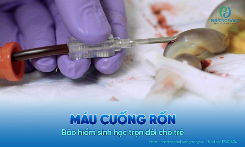 Máu cuống rốn: Bảo hiểm sinh học trọn đời cho trẻ