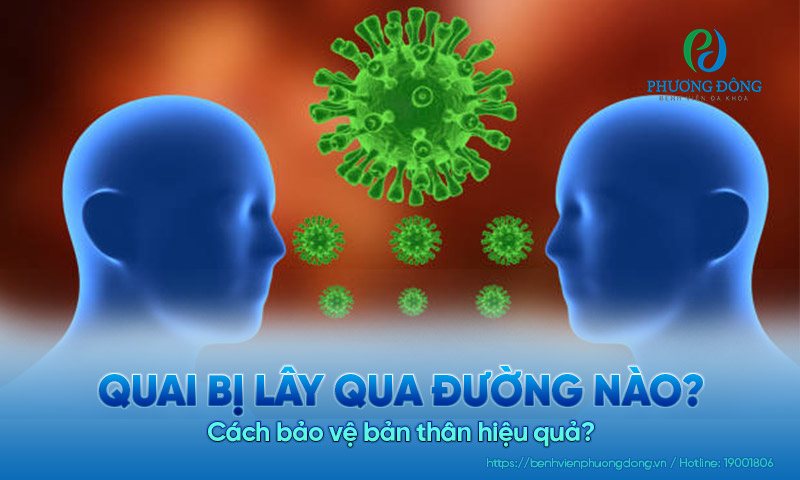 Quai bị lây qua đường nào? Cách bảo vệ bản thân hiệu quả