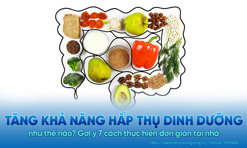 Tăng khả năng hấp thụ dinh dưỡng như thế nào? Gợi ý 7 cách thực hiện đơn giản tại nhà