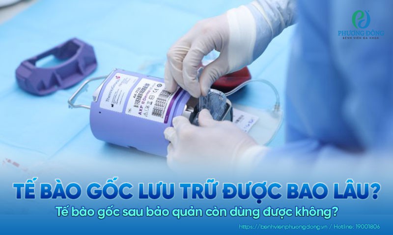 Tế bào gốc lưu trữ được bao lâu? Tế bào gốc sau bảo quản còn dùng được không?